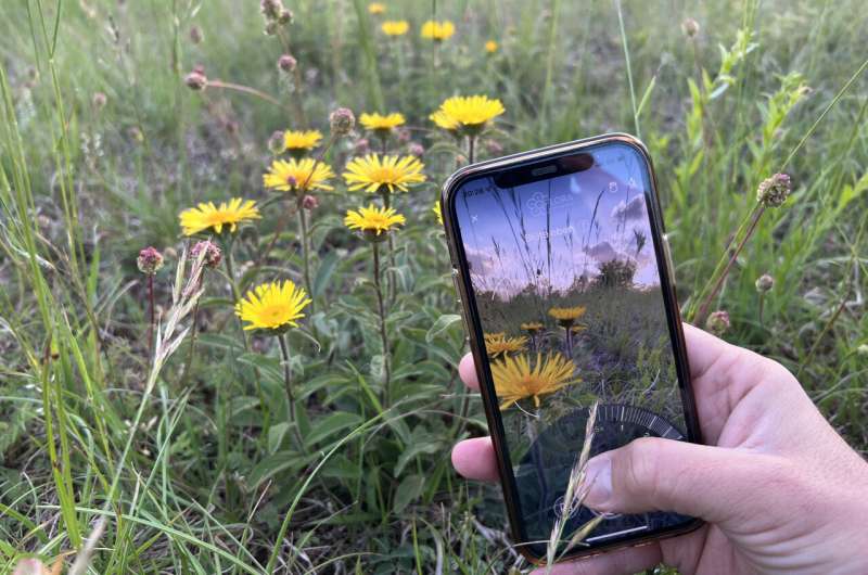 How a plant app helps identify the consequences of climate change