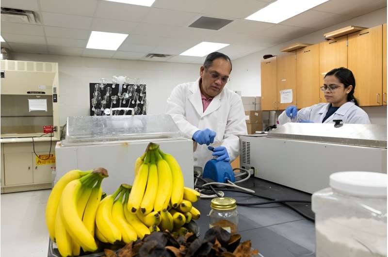 How bananas can be used to fight the plastic waste crisis