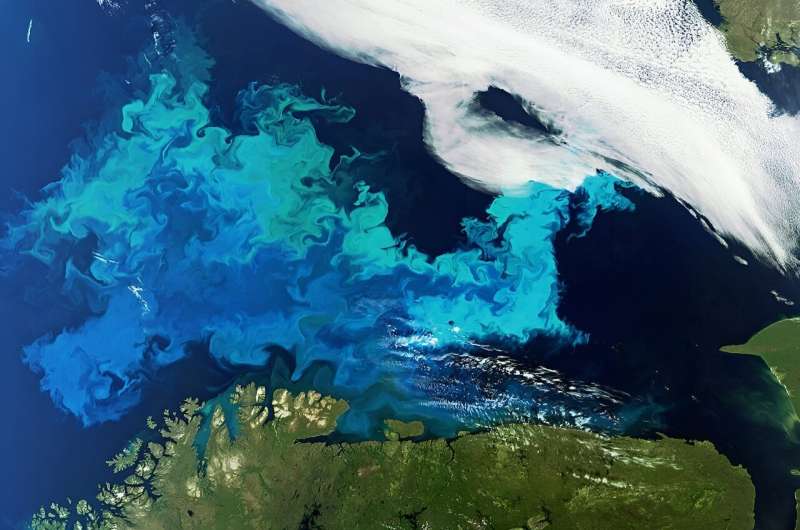 Cómo el cambio climático está alterando el reloj biológico del océano, con consecuencias desconocidas a largo plazo