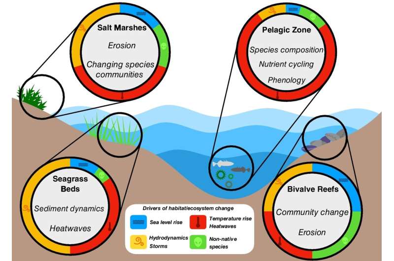 How climate change is transforming the Wadden Sea