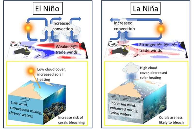 How climate patterns contribute to coral bleaching in the Great Barrier Reef