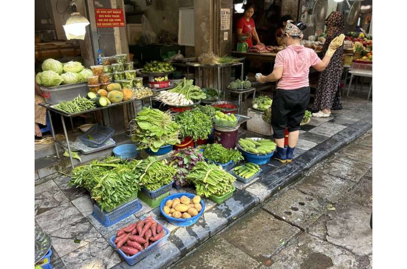 How did free wi-fi help unlock Hanoi wet markets' mysteries?