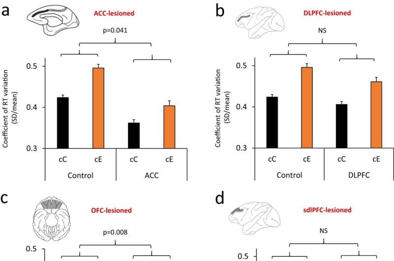 How different areas of the prefrontal cortex influence time variability in individual monkeys