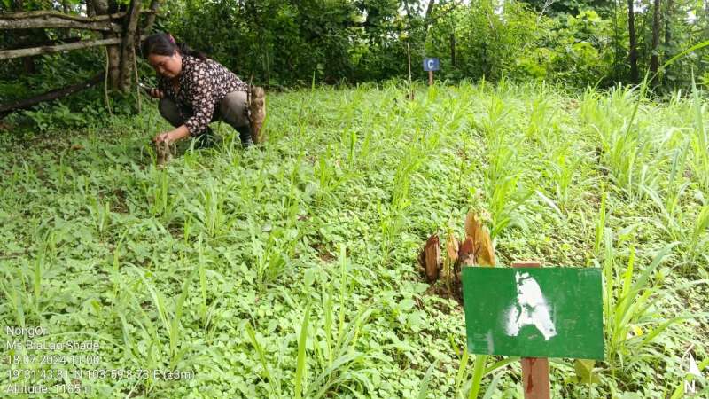 Cómo los agricultores y la tecnología se unieron para evaluar mejor los cultivos