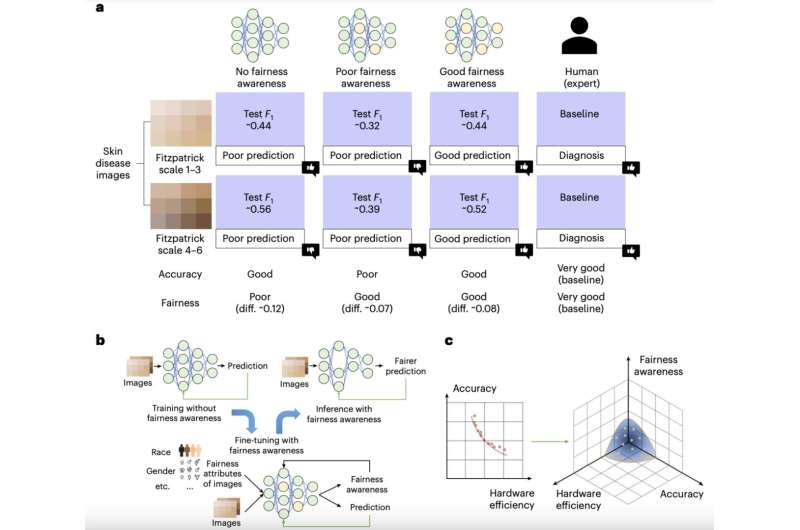 Cómo el hardware contribuye a la equidad de las redes neuronales artificiales