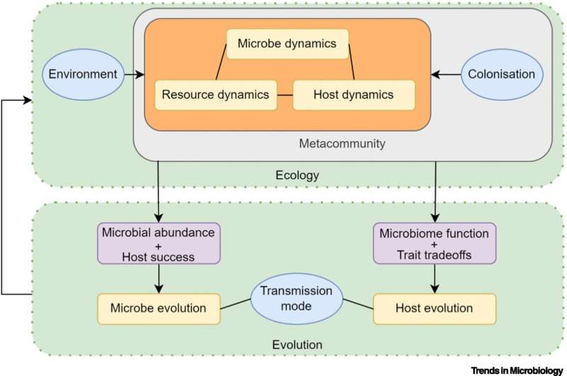 How microbial communities emerge