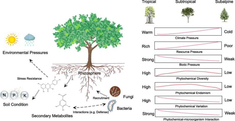 How phytochemical diversity affects plant adaptation to stress