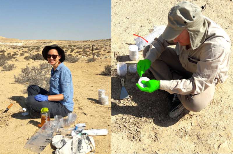 Scientists discover how soil microbes survive in harsh desert environments