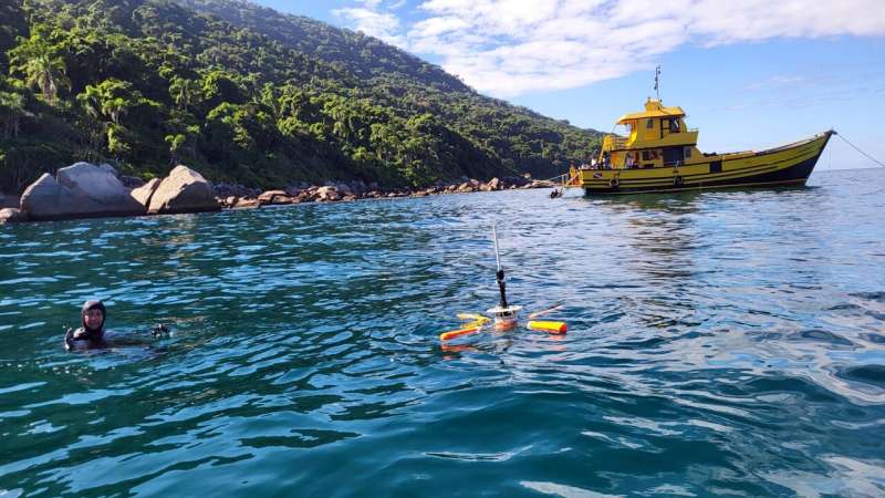 How technology and robotics are helping Brazil monitor and control an invasive coral species