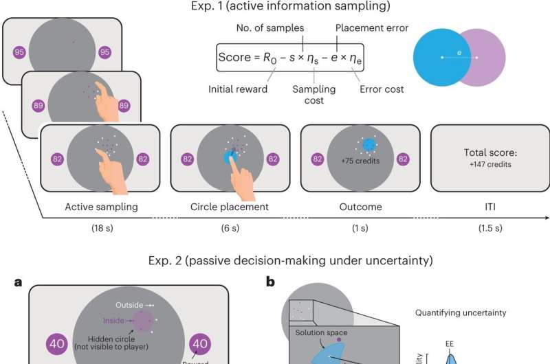 How the human hippocampus contributes to value-based decision-making under uncertainty 