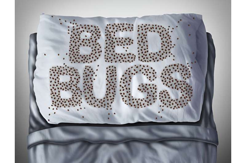 How to check your home for bedbugs