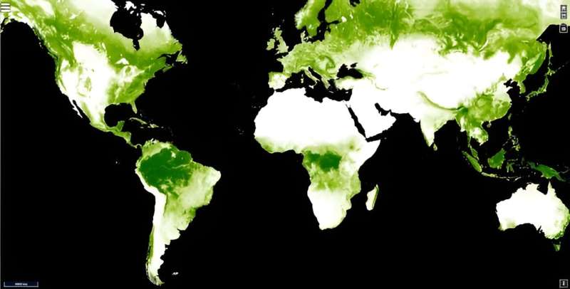 How vegetation could impact the climate of exoplanets