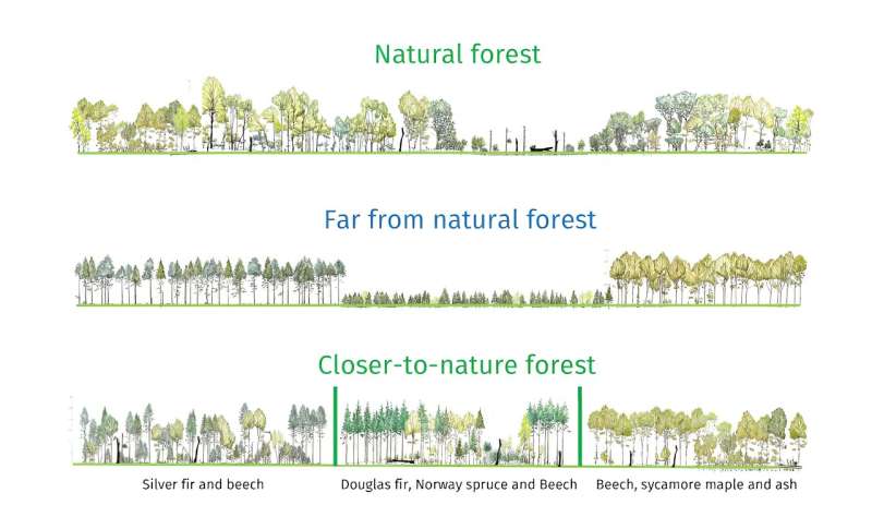 How we're breathing new life into French forests through green corridors