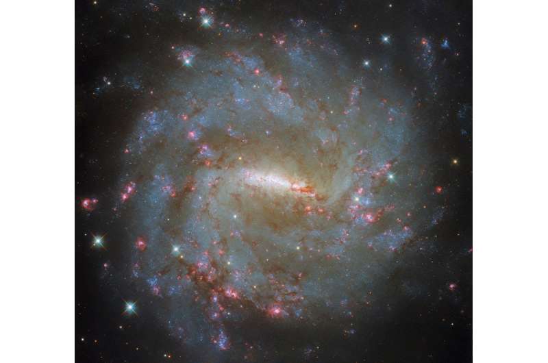 Hubble Examines a Barred Spiral's Light