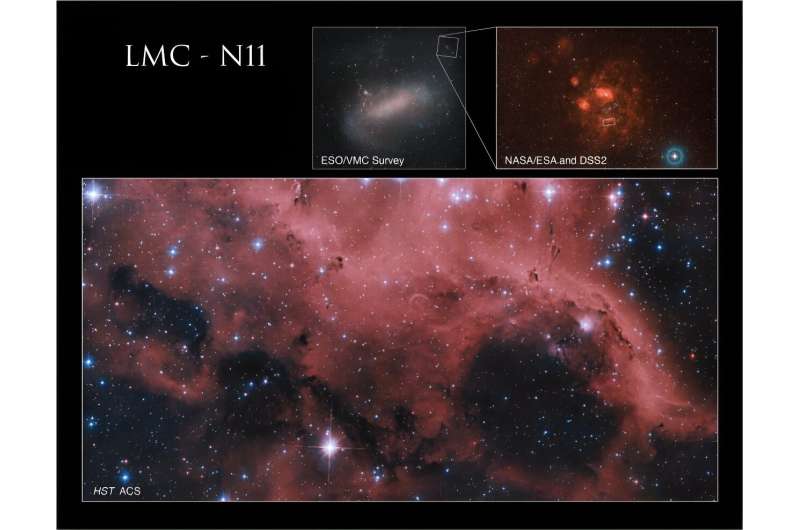 Hubble spots a cluster of emission nebulae within the Large Magellanic Cloud