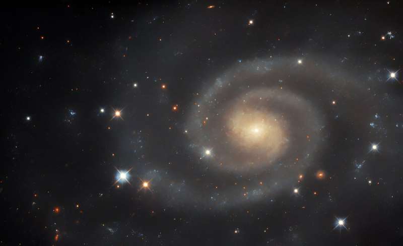 Hubble views dim but distinct spiral galaxy UGC 11105