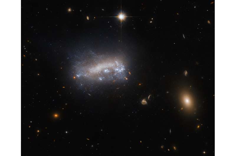 Hubble views dwarf galaxy LEDA 4216