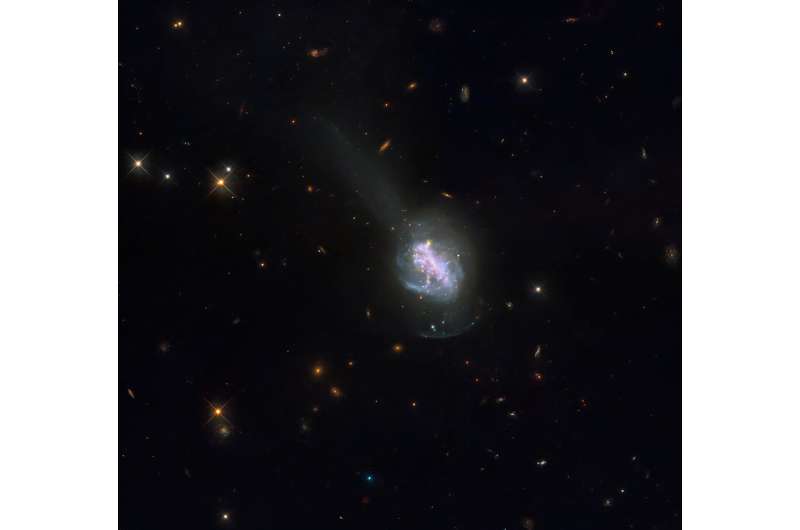 Hubble views ESO 185-IG013