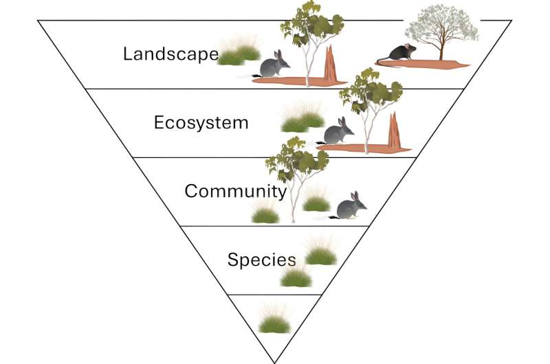 Humans can work with nature to solve big environmental problems—but there's no quick fix