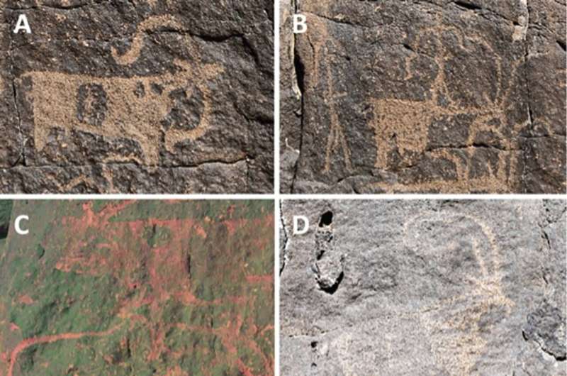 Humans occupied a lava tube in Saudi Arabia for thousands of years