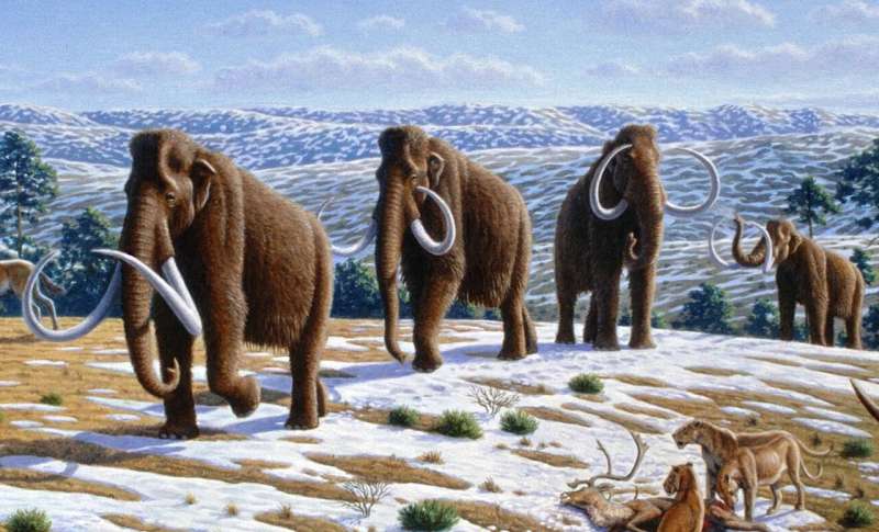 Ice age climate analysis reduces worst-case warming expected from rising CO2