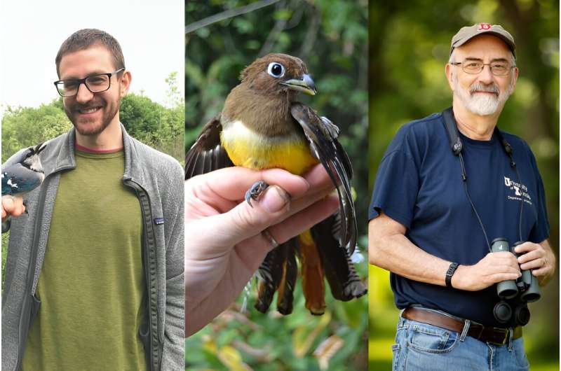 Illinois study: Tropical birds could tolerate warming better than expected