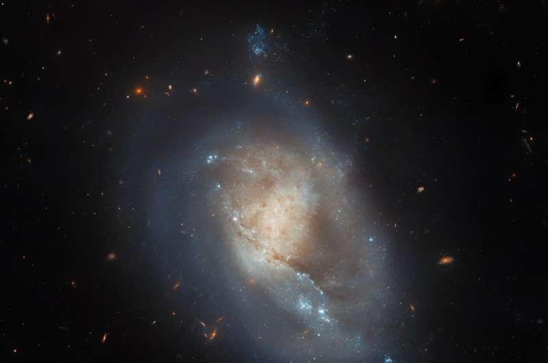 Image: Hubble views an active star-forming galaxy