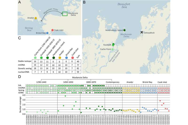 Impact of 700 years of Inuvialuit subsistence hunting on beluga whales