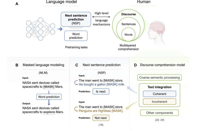 Improving AI large language models helps better align with human brain activity