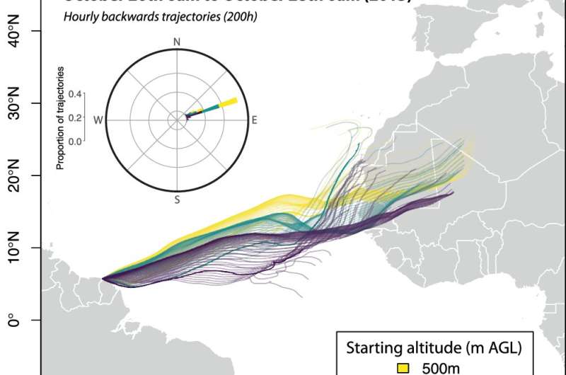 Dans le cadre d'une première mondiale, des chercheurs cartographient un vol transatlantique de 4 200 km de la belle dame papillon