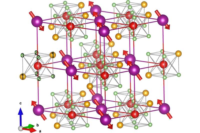 In search of muons: Why they switch sites in antiferromagnetic oxides