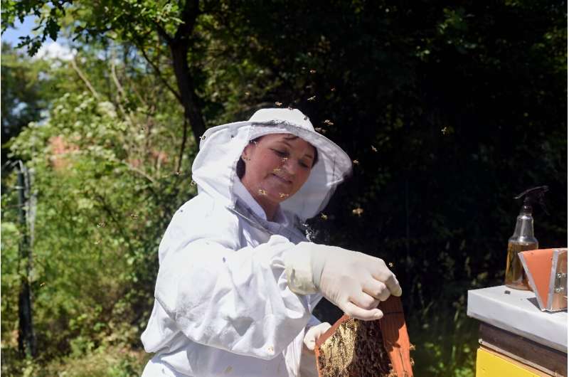 'In the past, beekeeping was much easier,' said Miloseska
