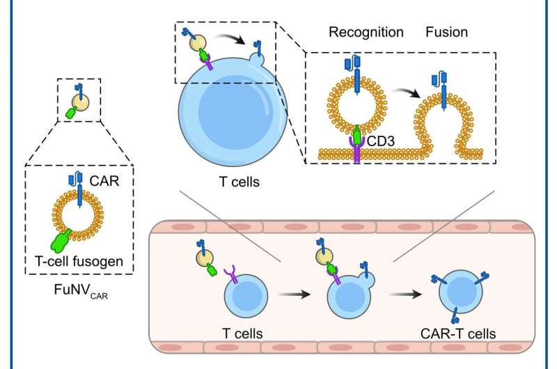 In vivo production of CAR-T cells using virus-mimetic fusogenic nanovesicles