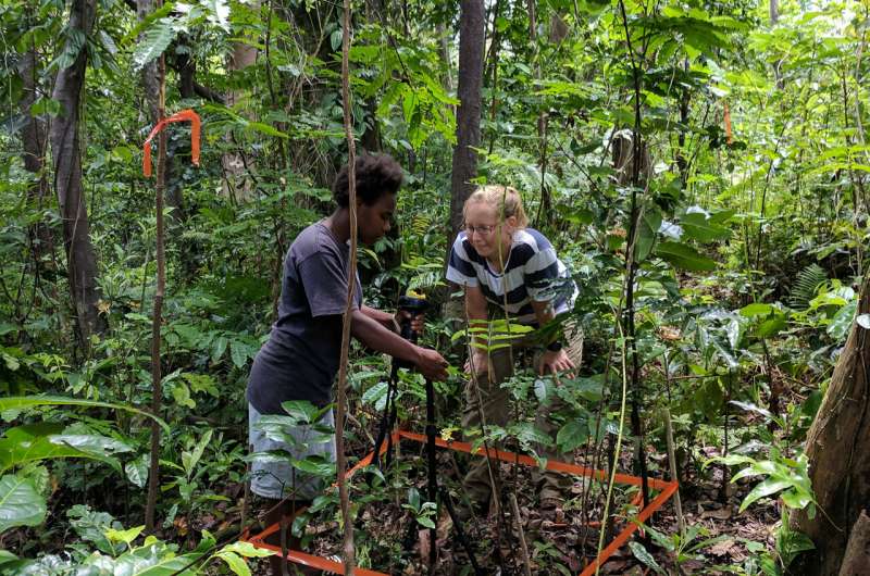 После мощного циклона произошло замечательное восстановление лесов тихоокеанских островов