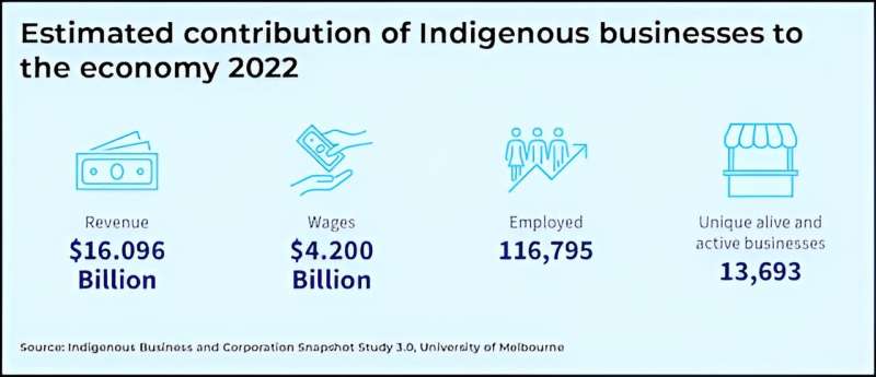 Indigenous businesses are worth billions but we don't know enough about them