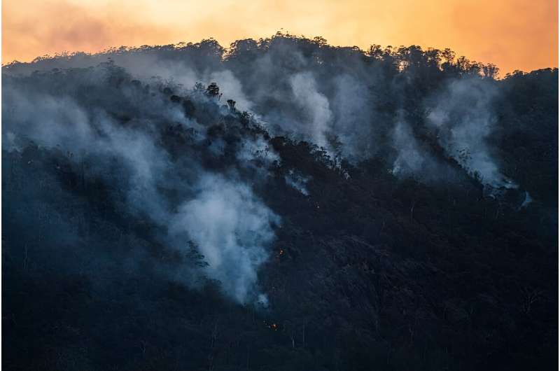 Indigenous fire management 'locks up' carbon