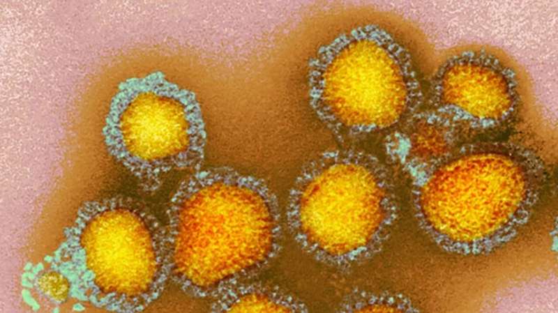 Influenza viruses can use two ways to infect cells