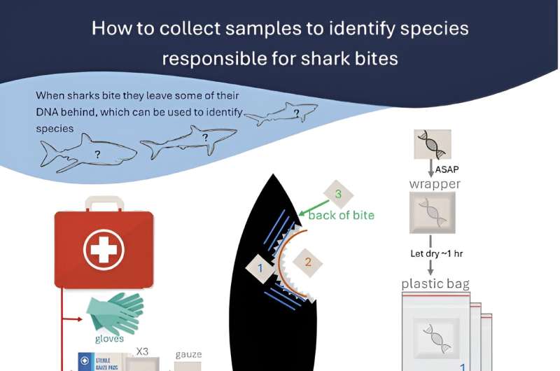 Injury dressings in first-aid kits reveal shark species