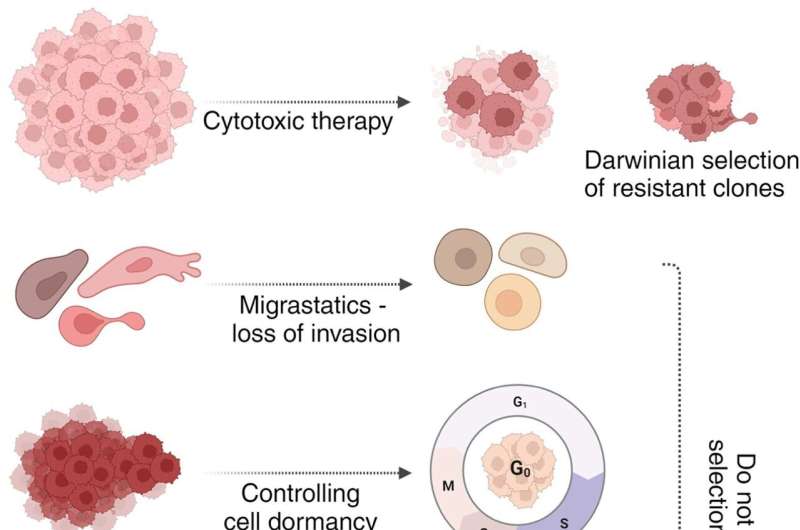 Innovative Cancer Treatments Focus on Re-educating Cells to Combat Resistance