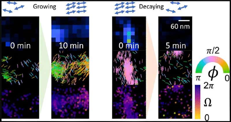Innovative microscopy reveals amyloid architecture, may give insights into neurodegenerative disease