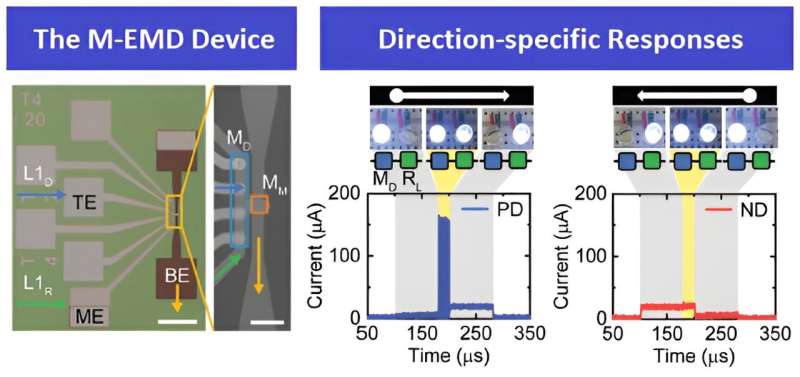 Insect-mimicking semiconductor to detect motion