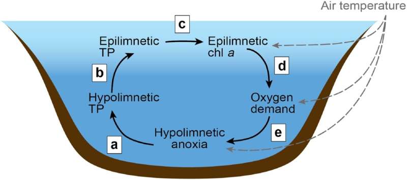 International study of lakes: Once oxygen deficient, always oxygen deficient