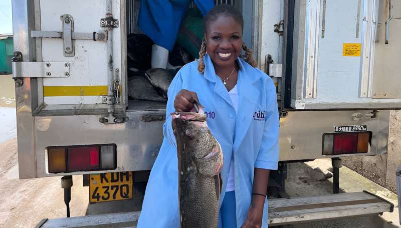 'Internet of fish' empowering Lake Victoria women