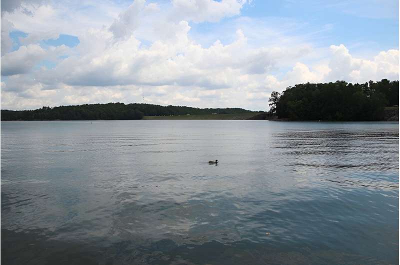 Invasive, shelled creature seen in popular Georgia lake, experts warn