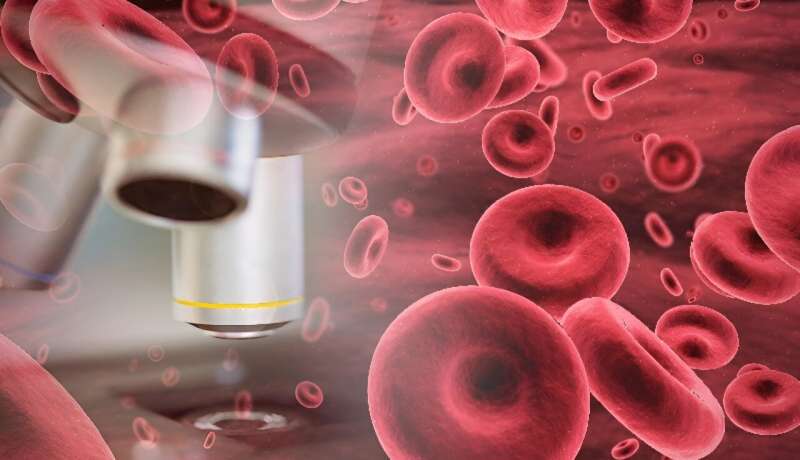 Iptacopan improves hematologic, clinical outcomes in persistent anemia