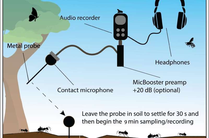 It's a rave – underground acoustics amplify soil health