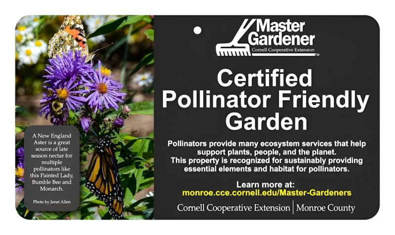 It's OK to mow in May—the best way to help pollinators is by adding native plants