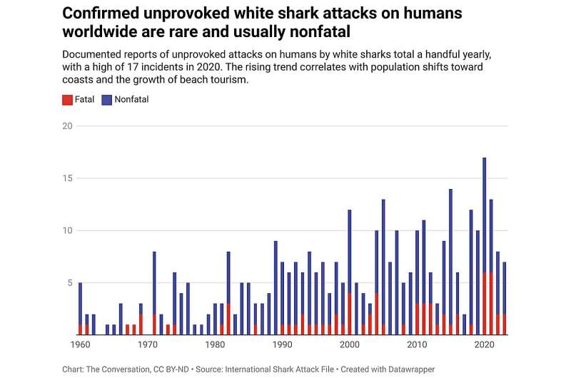 'Jaws' portrayed sharks as monsters 50 years ago, but it also inspired a generation of shark scientists