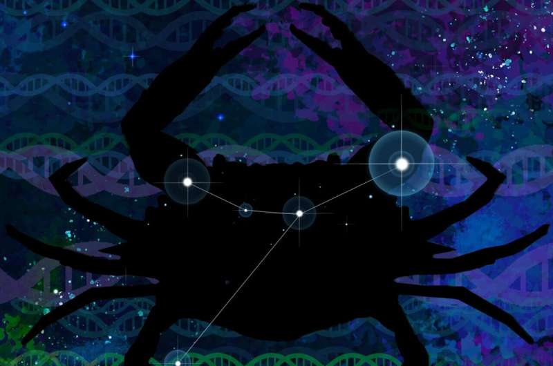 'Junk DNA' no more: Johns Hopkins investigators develop method of identifying cancers from repeat elements of genetic code