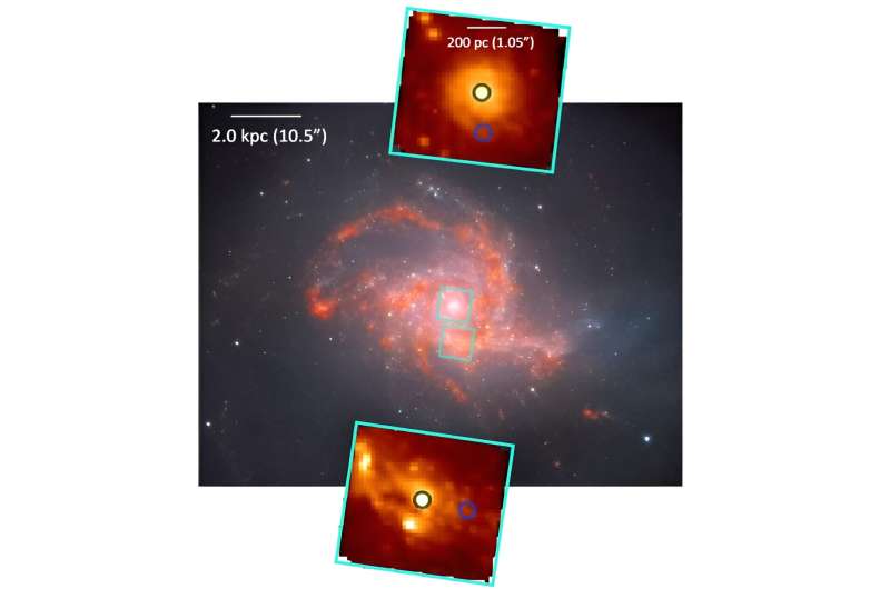 JWST observations explore molecular outflows of a nearby merging galaxy